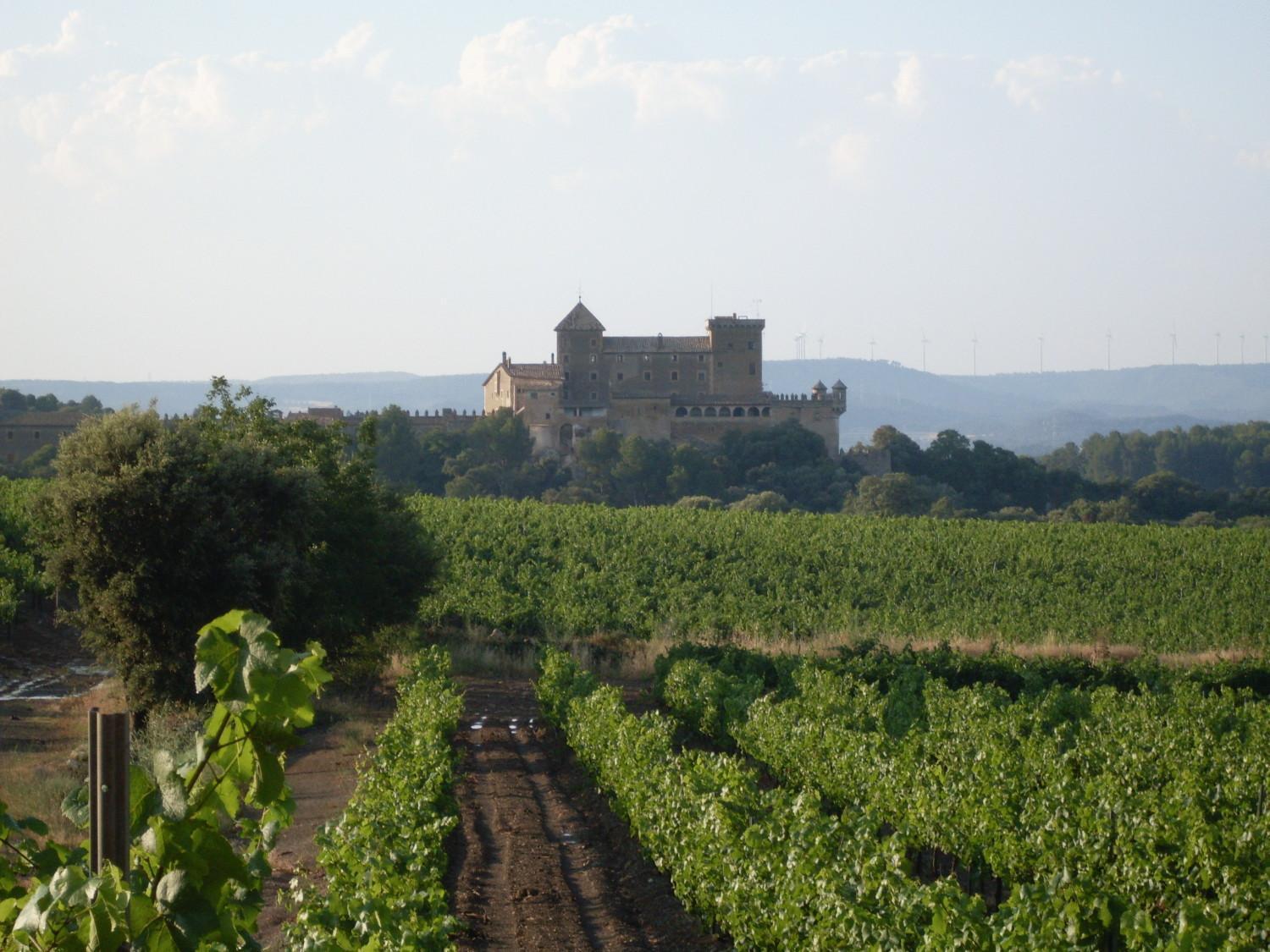 Hotel Rural Ocell Francoli Espluga de Francolí Εξωτερικό φωτογραφία